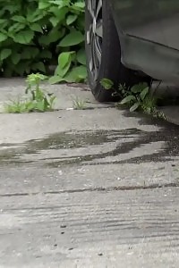 Brunette Queen Pissing Next To A Busy Road Outside