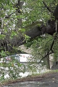 Captivating European Lifts Her Leg To Pee Outside