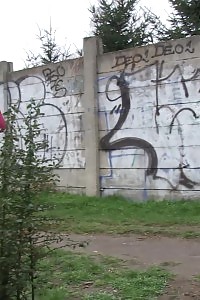 Brunette Lady Pisses On A Public Path